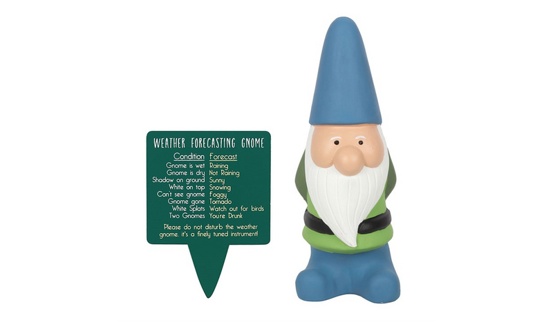 Large Weather Forecasting Gnome