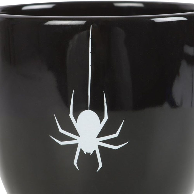 Black Spider Teacup